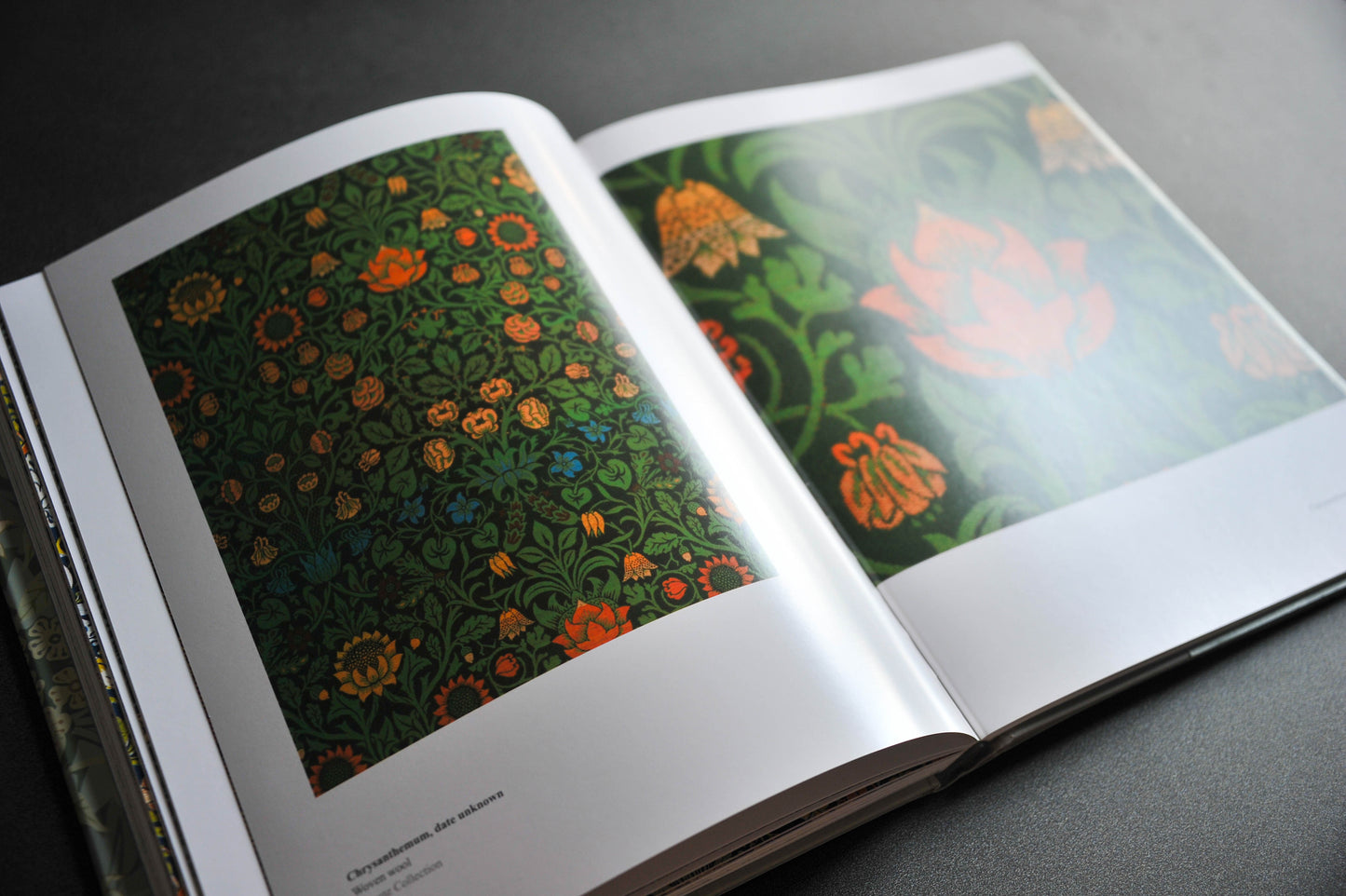 The World of William Morris (Annice Books)