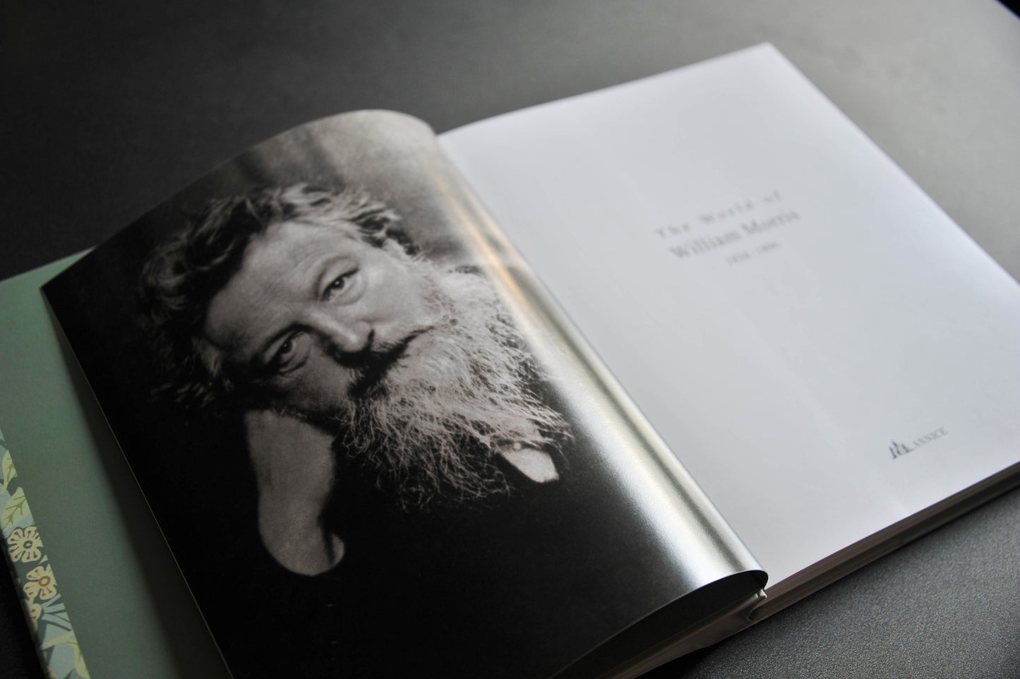 The World of William Morris (Annice Books)