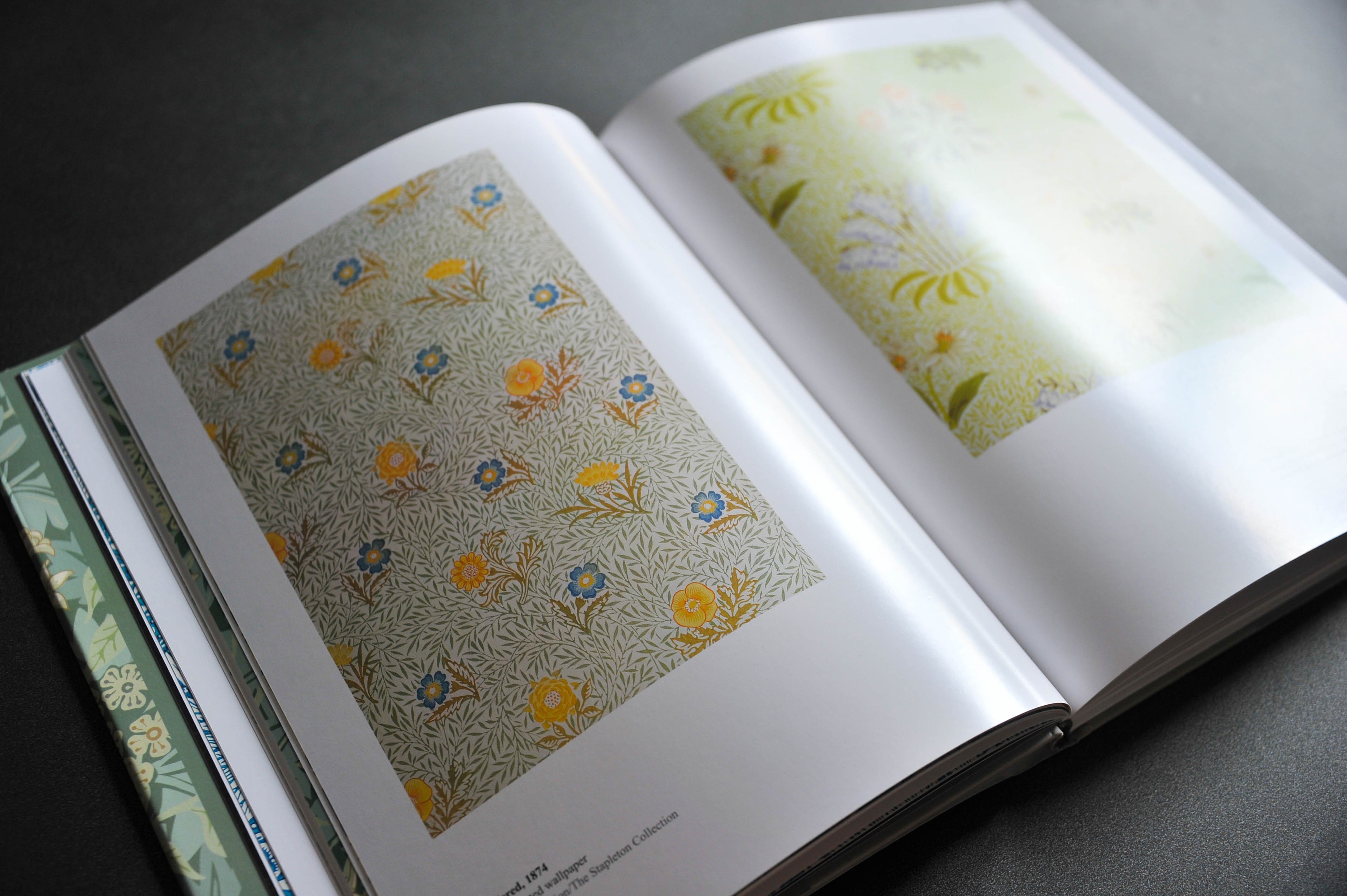 The World of William Morris (Annice Books)