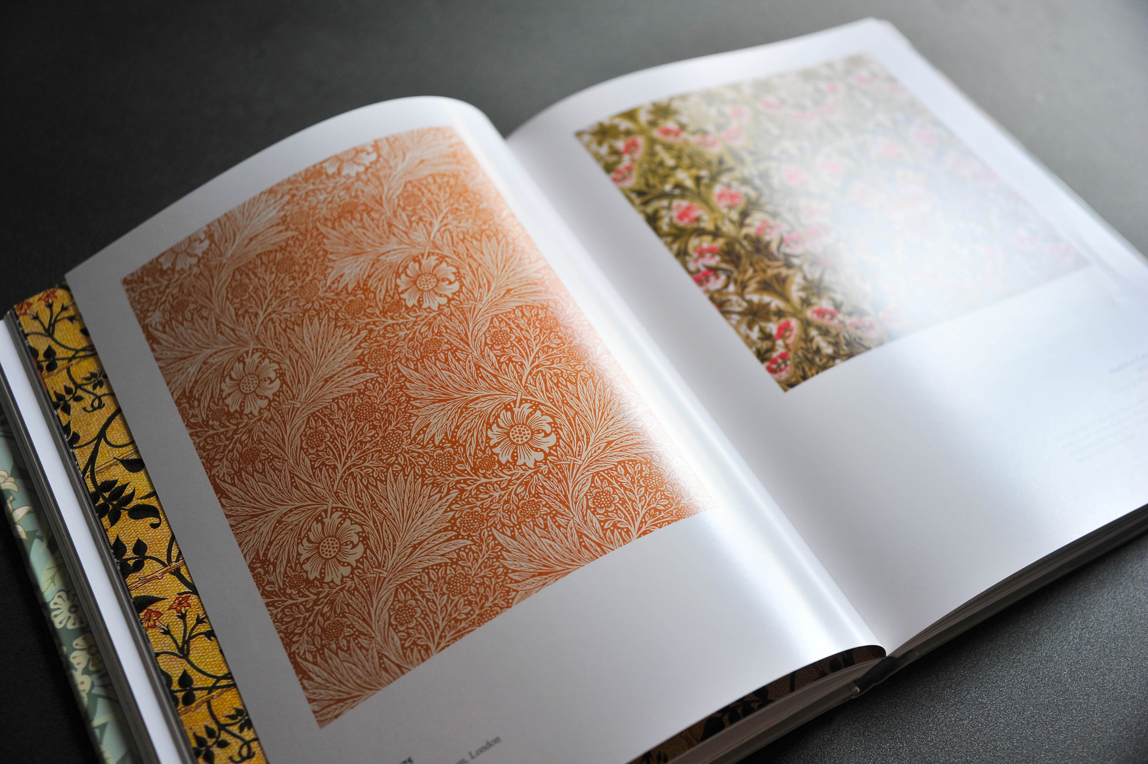 The World of William Morris (Annice Books)