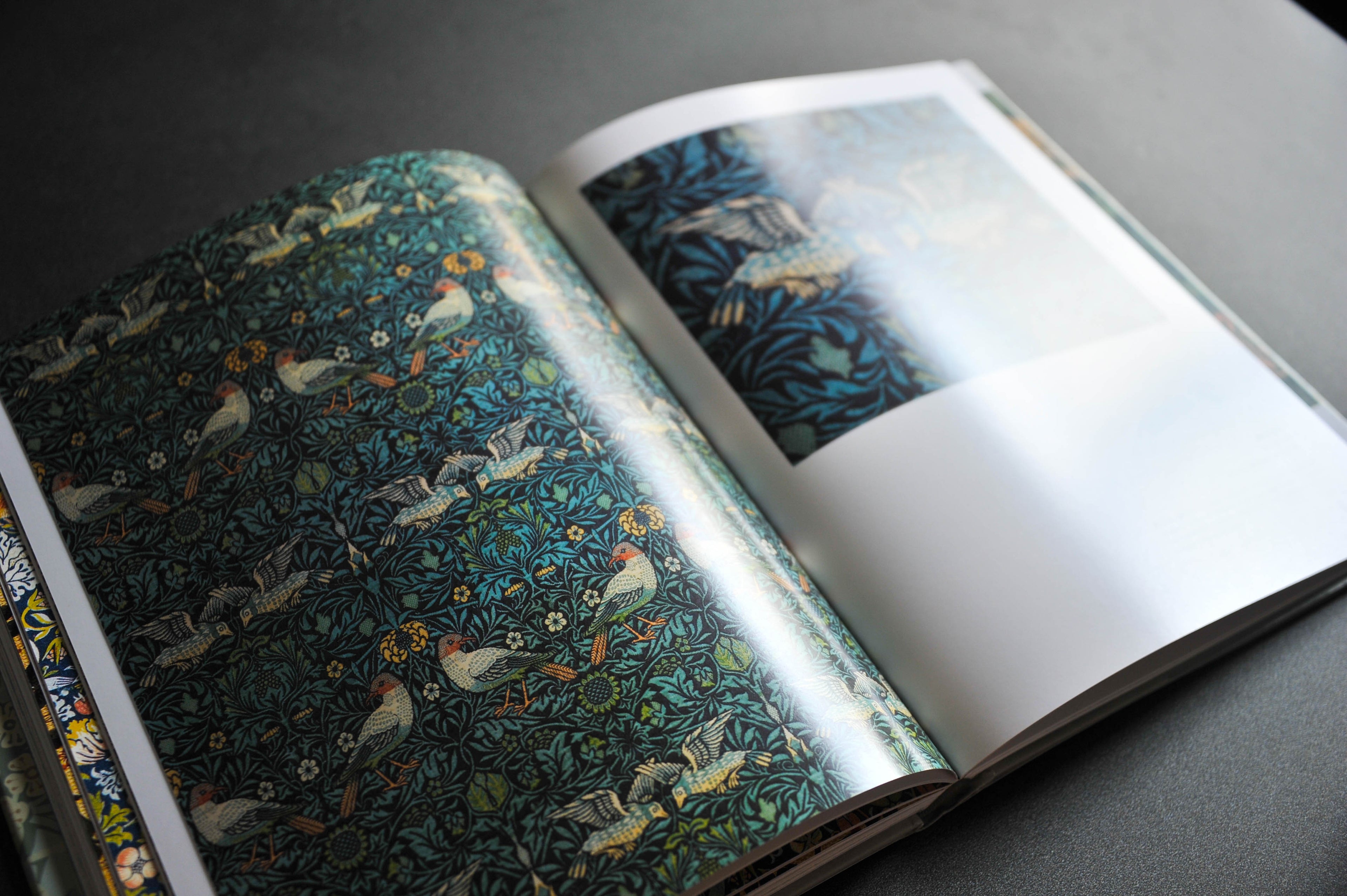 The World of William Morris (Annice Books)