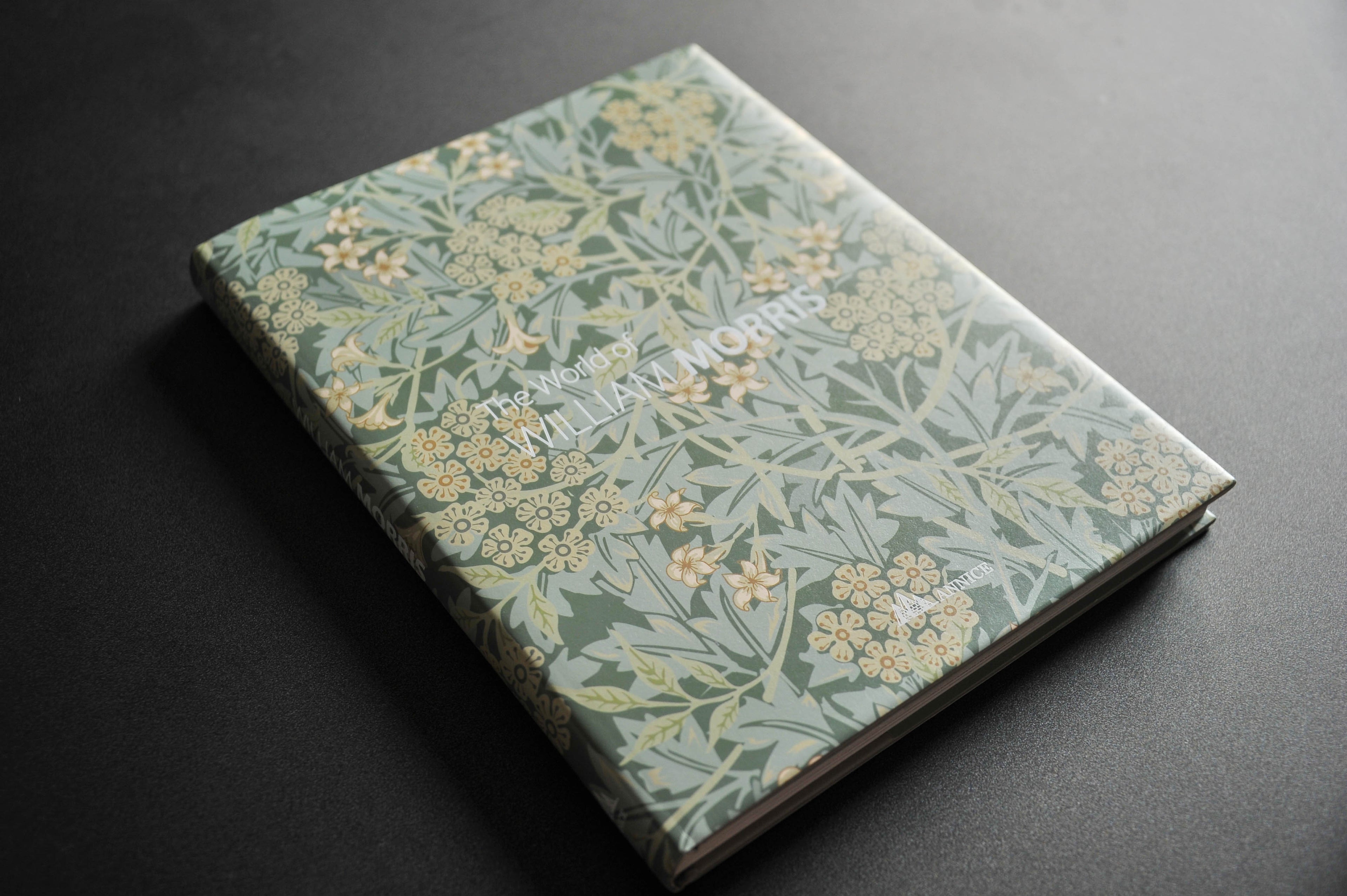 The World of William Morris (Annice Books)