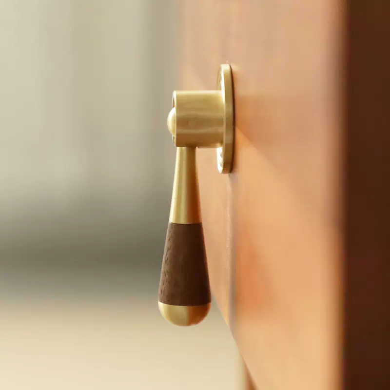 Orbit Brass & Walnut rotatable Cupboard Handle