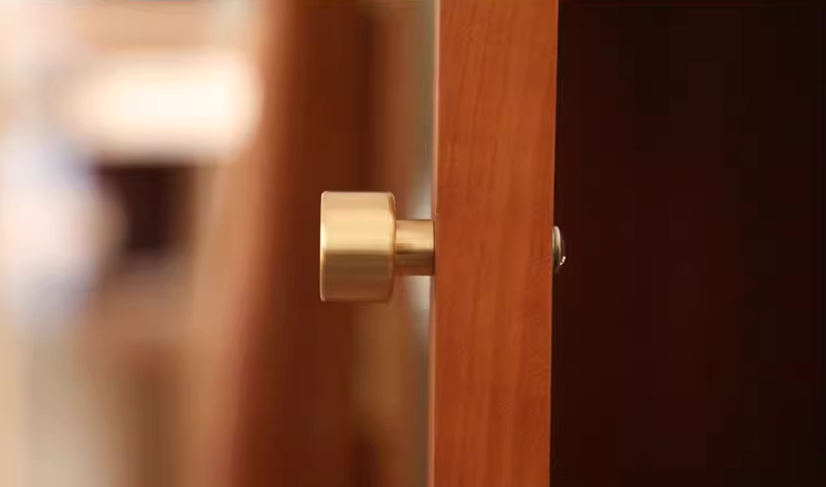 Dot Brass Button Knob (Set of 2)