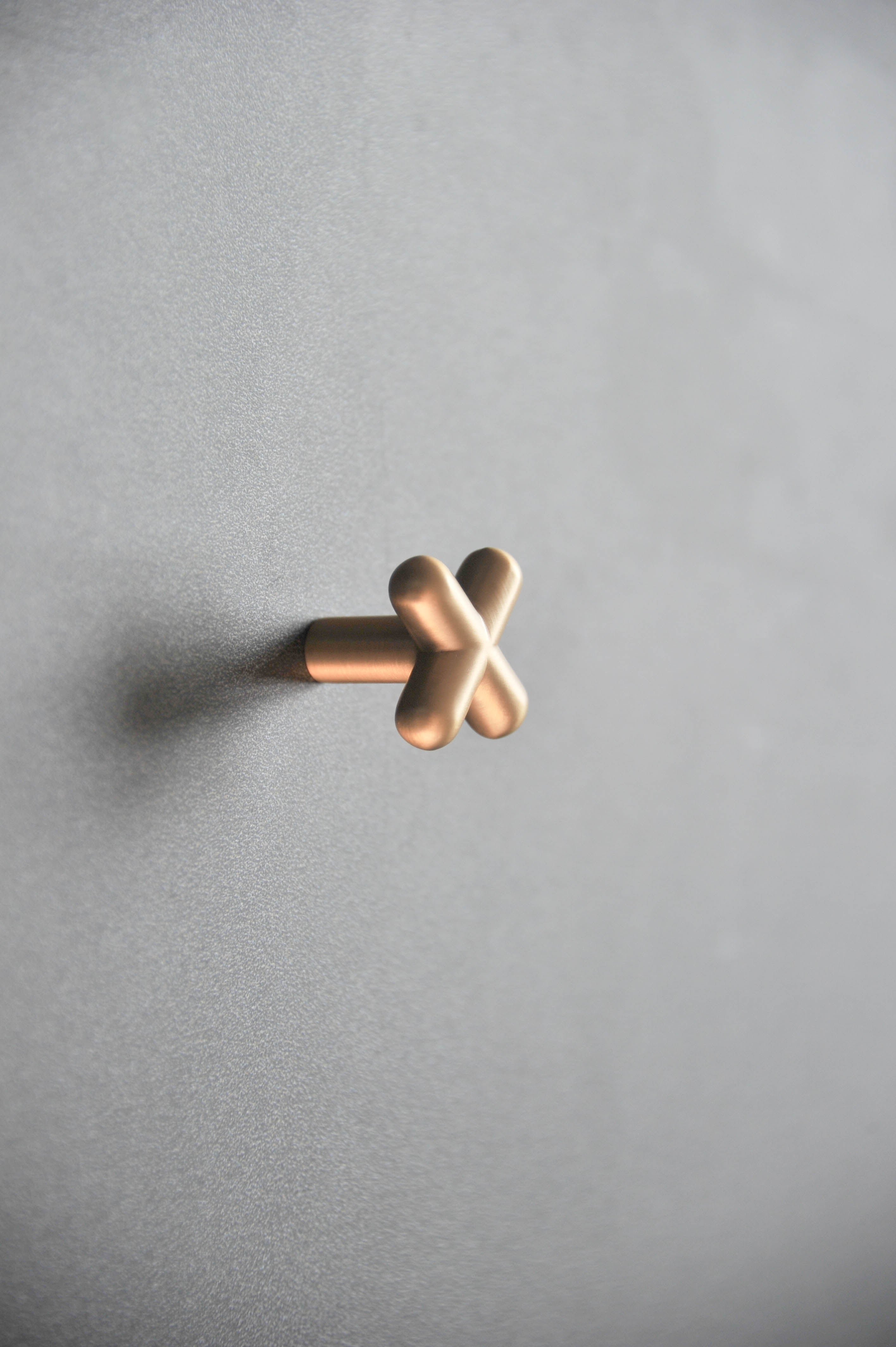 Calculus Rounded - Brass Furniture Knob Handle (Set of 2)