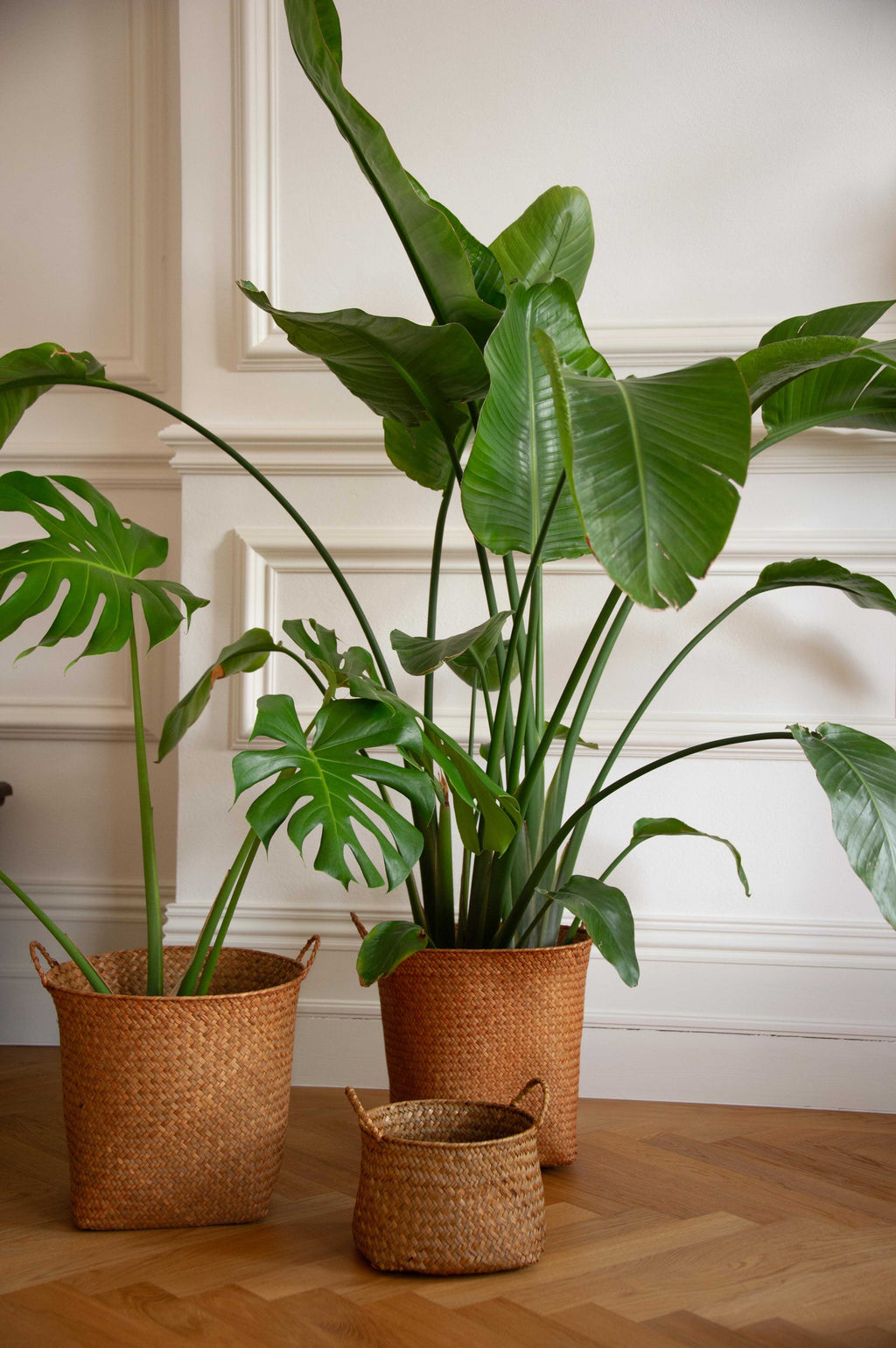 Hand Knitted Straw Rattan Woven Basket