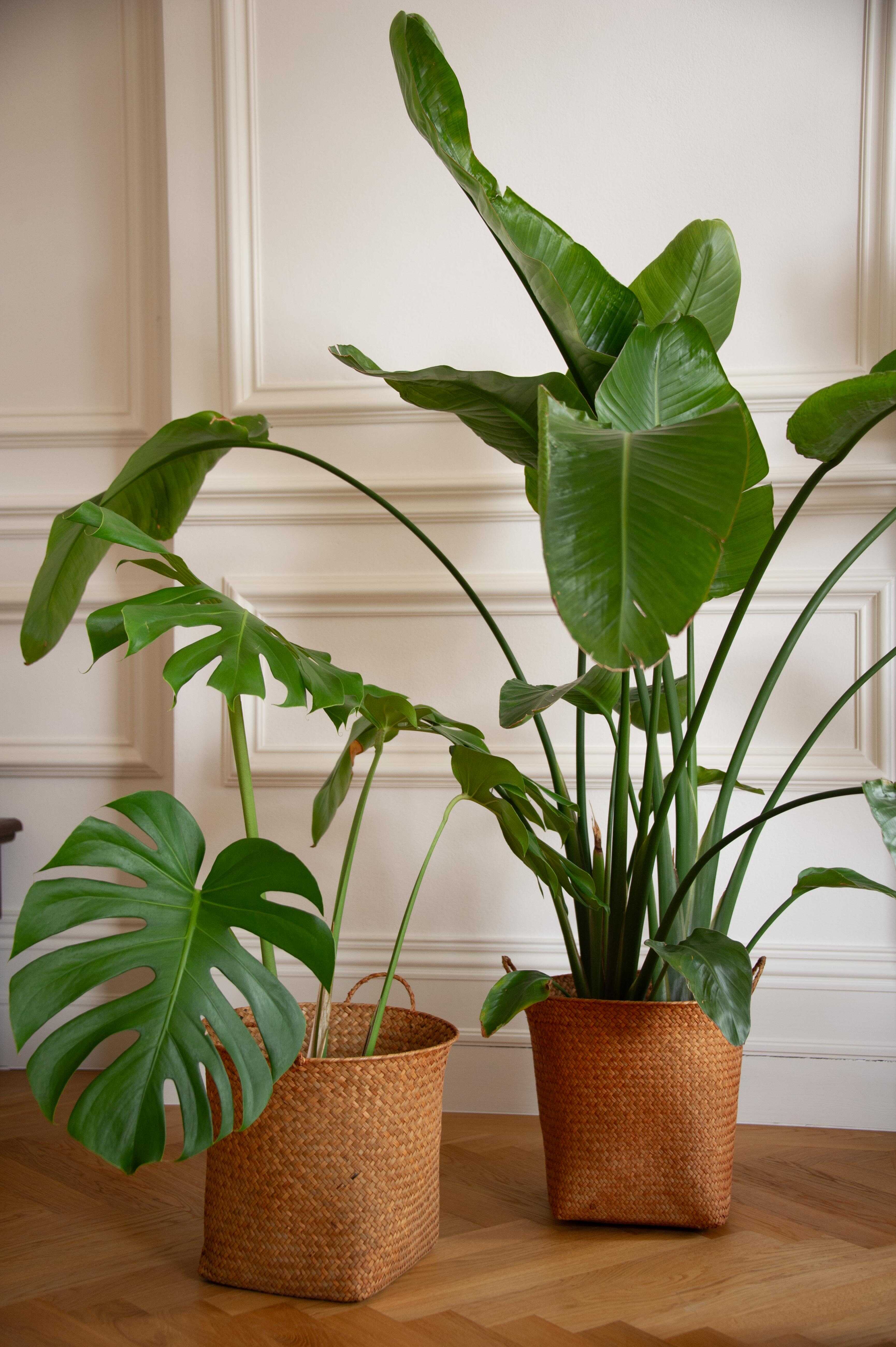 Hand Knitted Straw Rattan Woven Basket