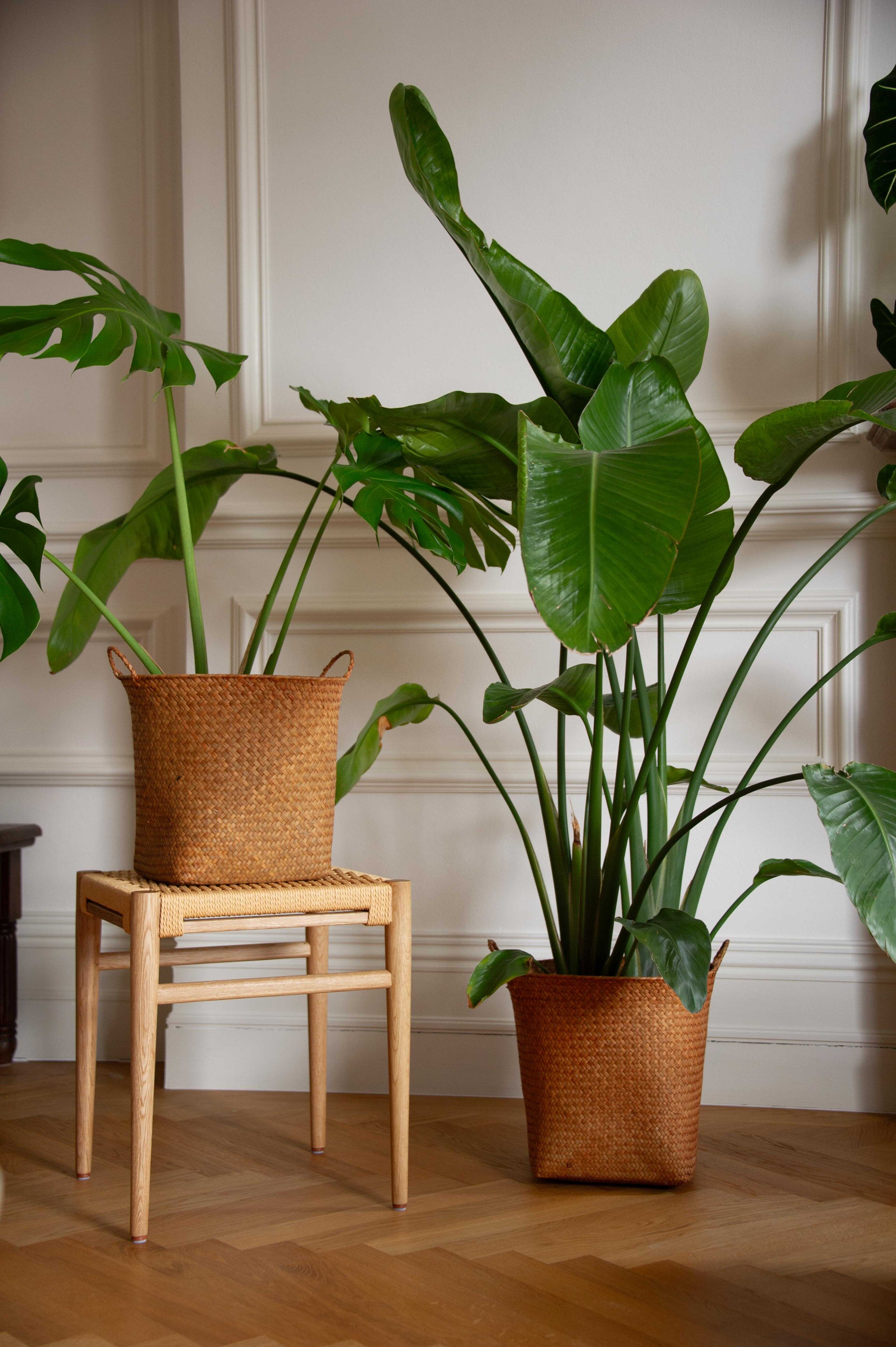 Hand Knitted Straw Rattan Woven Basket