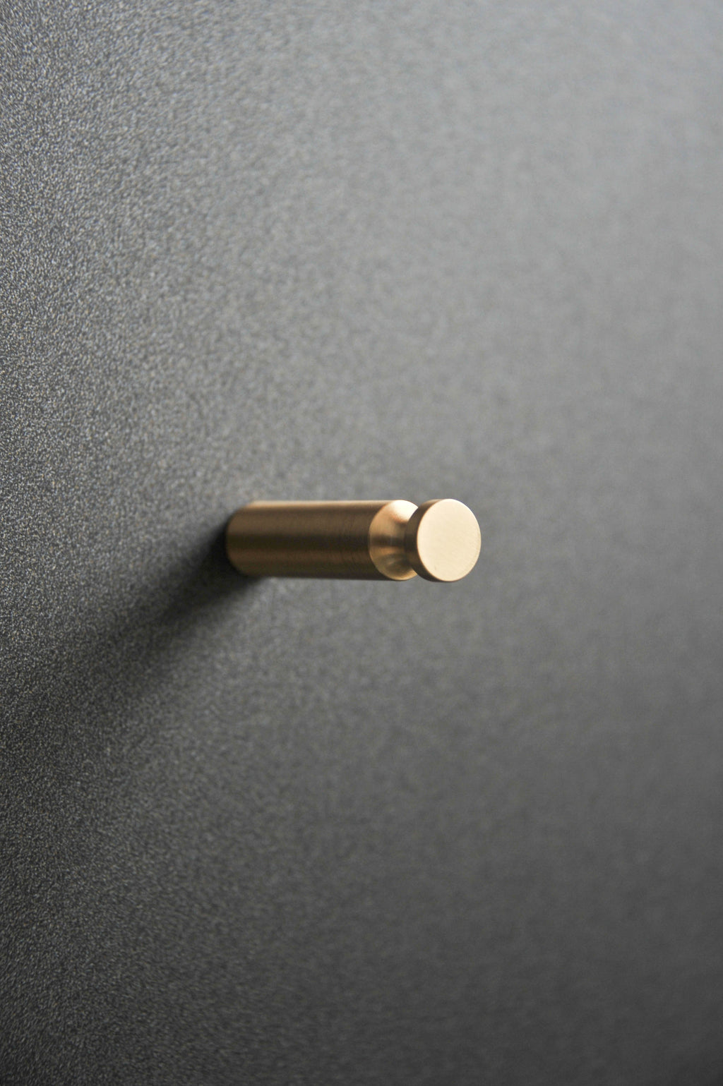 Core Brass Cylinder Minimal Wall Hanger (Set of 2)