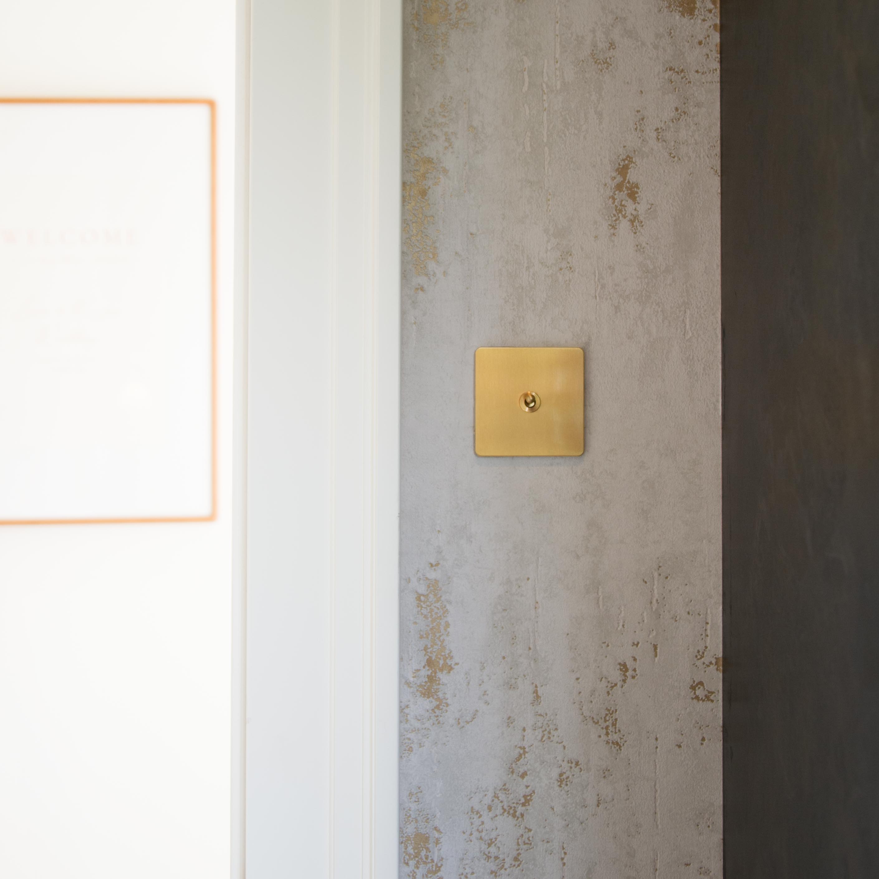 Horizon Brushed Brass Hidden Screw Switches